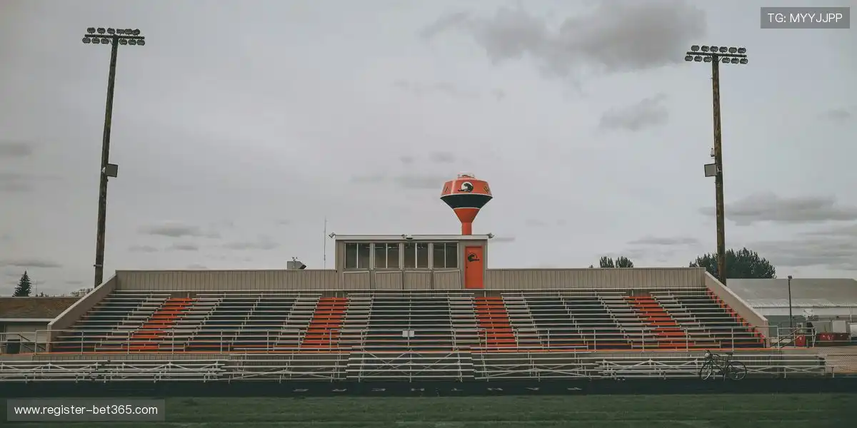 麦卡利斯特,强调,队友出色,新葡京,新葡京app,新葡京娱乐,新普京赌场